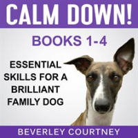 Essential_Skills_for_a_Brilliant_Family_Dog